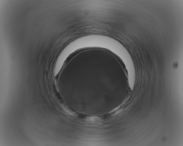 X0000091960137200709271354