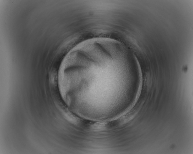 X0000091960138200709271354