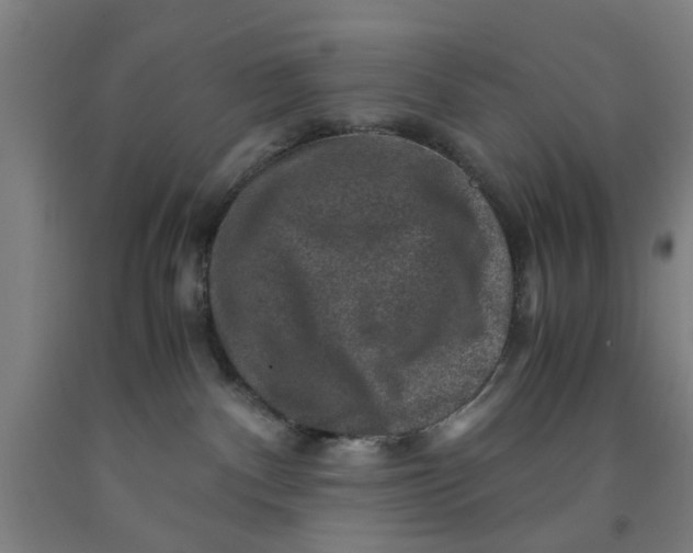 X0000091960140200709271354