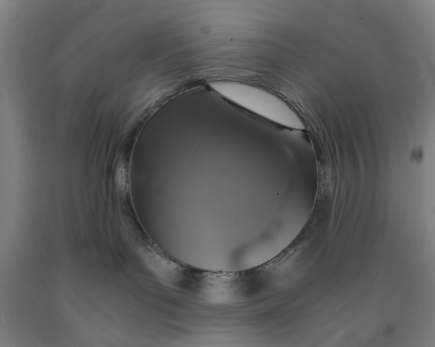 X0000091960143200709271354