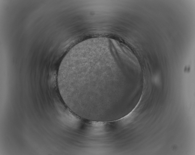 X0000091960144200709271354