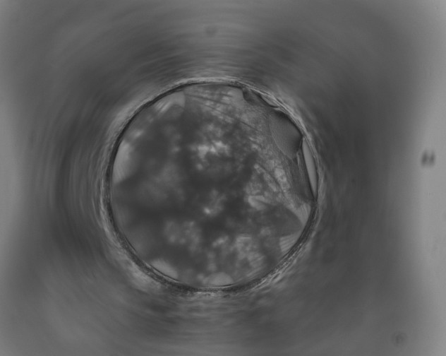 X0000091960145200709271354