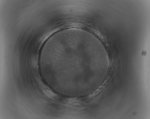 X0000091960146200709271354