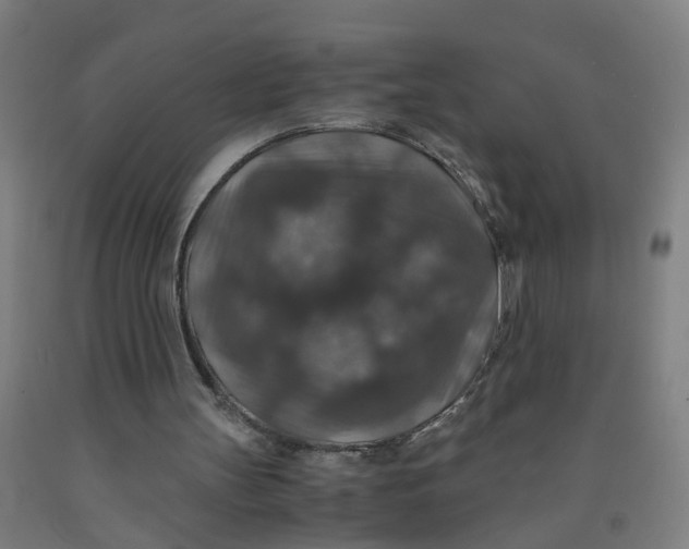 X0000091960147200709271354