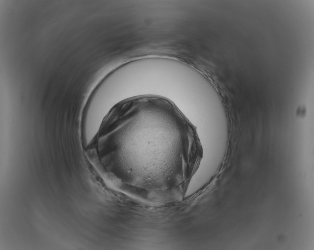 X0000091960148200709271354