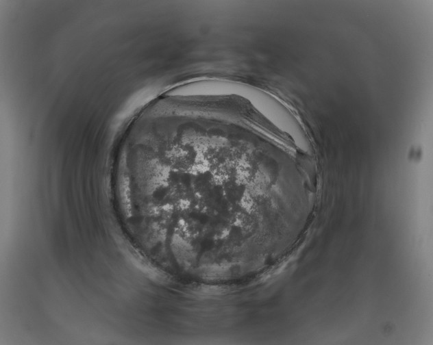 X0000091960149200709271354