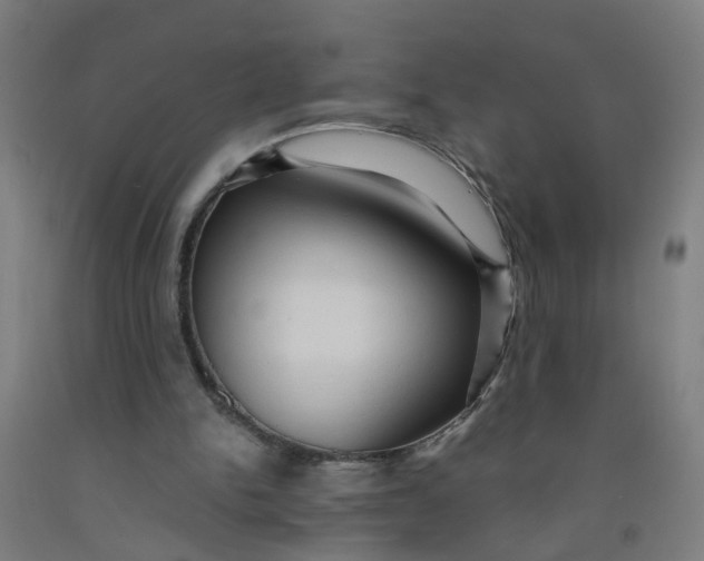 X0000091960150200709271354