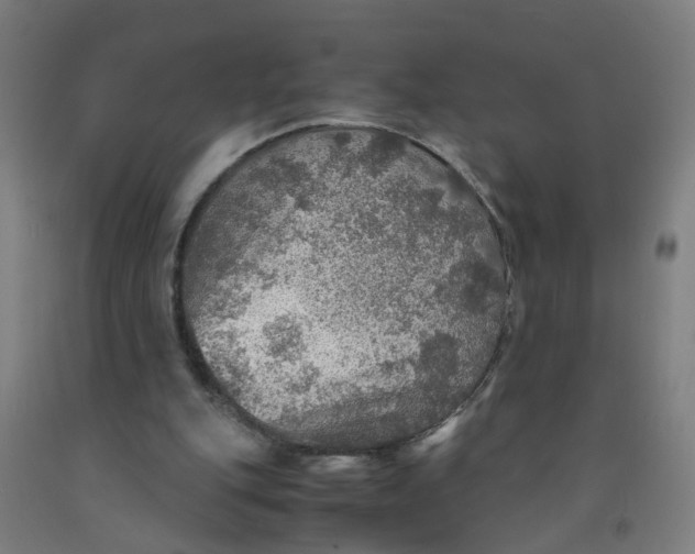 X0000091960151200709271354