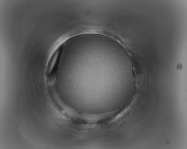 X0000091960152200709271354