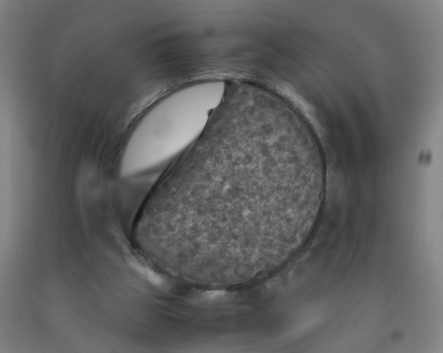 X0000091960153200709271354