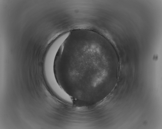 X0000091960154200709271354