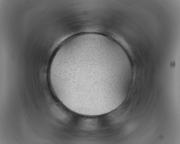 X0000091960155200709271354