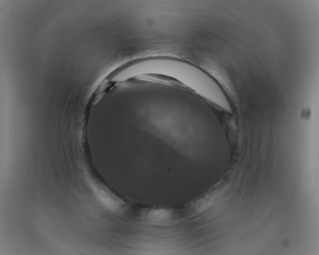 X0000091960156200709271354