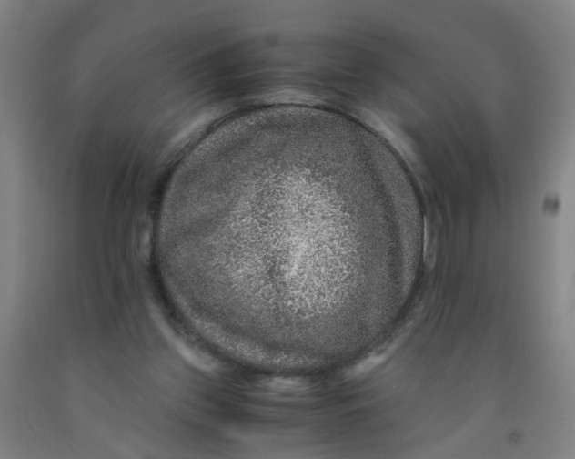 X0000091960157200709271354