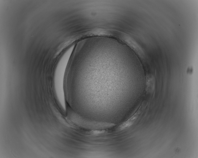 X0000091960158200709271354