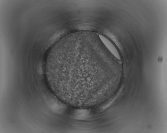 X0000091960161200709271354