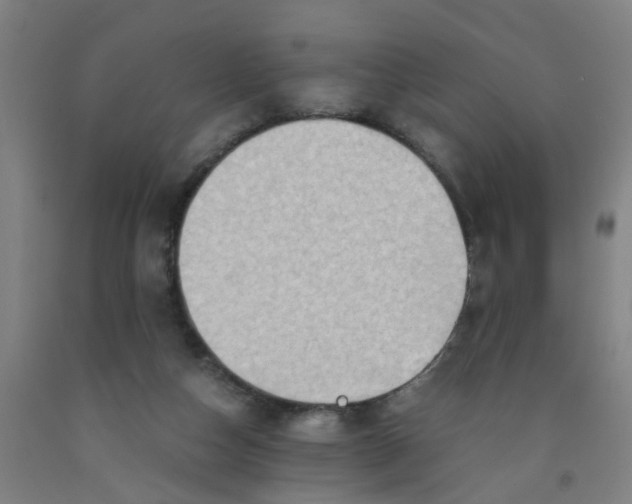 X0000091960162200709271354