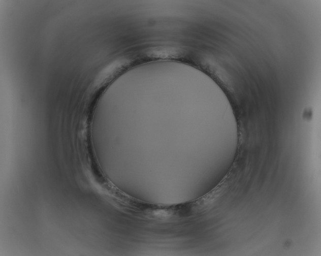 X0000091960163200709271354