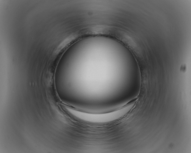 X0000091960164200709271354