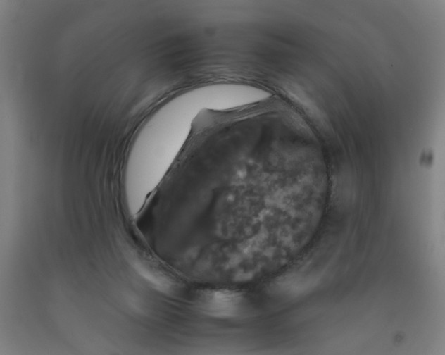 X0000091960165200709271354