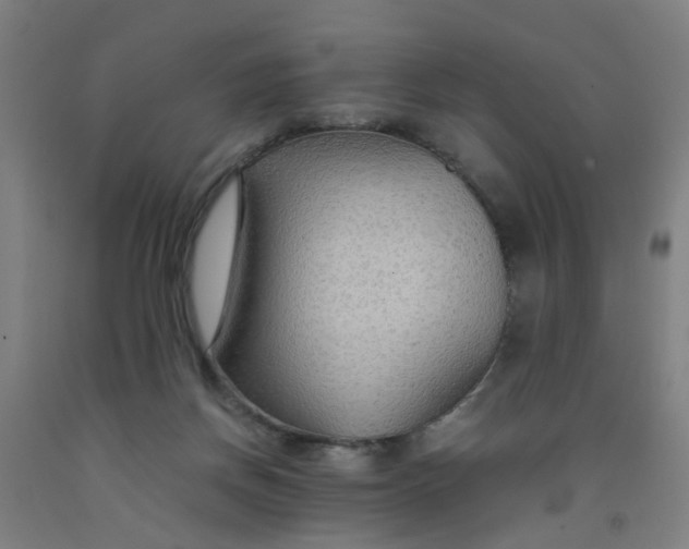 X0000091960166200709271354