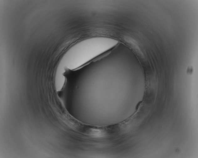 X0000091960167200709271354