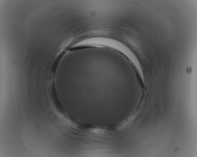 X0000091960168200709271354