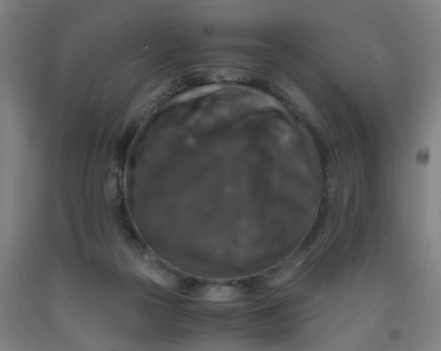 X0000091960169200709271354