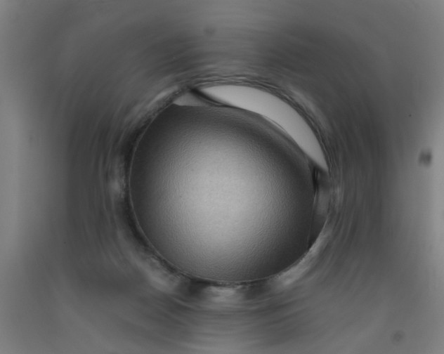 X0000091960170200709271354