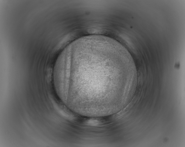 X0000091960171200709271354