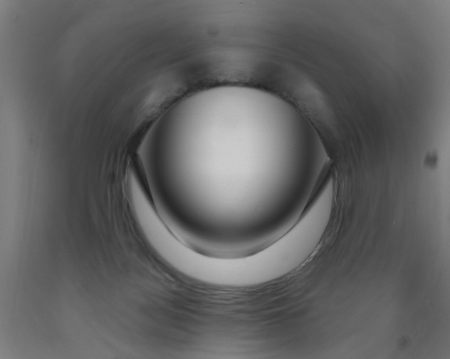 X0000091960172200709271354