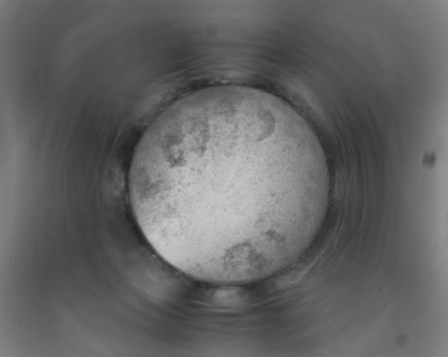 X0000091960173200709271354