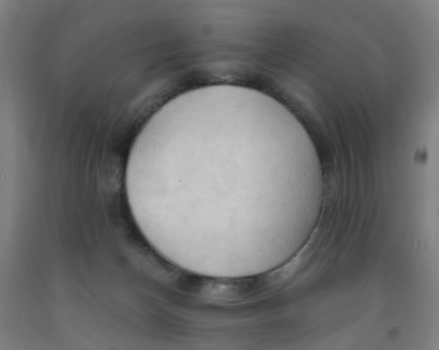 X0000091960174200709271354