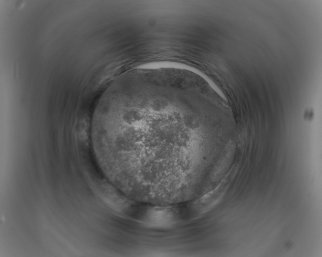 X0000091960175200709271354