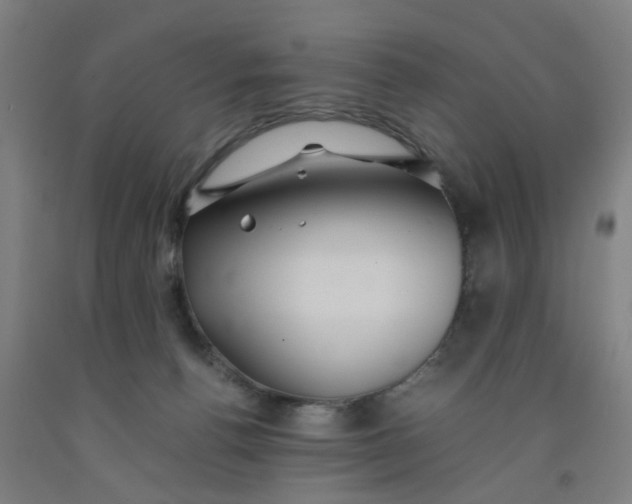 X0000091960176200709271354