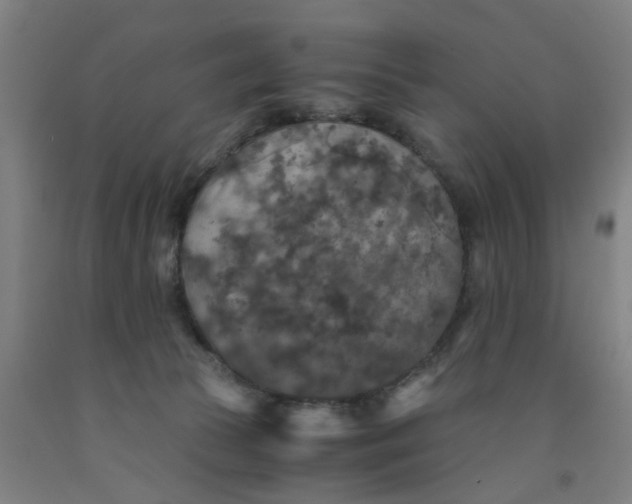 X0000091960177200709271354