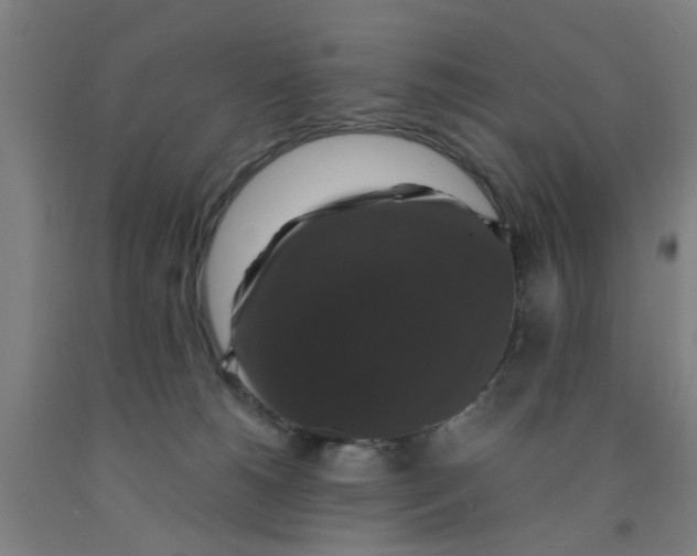 X0000091960180200709271354