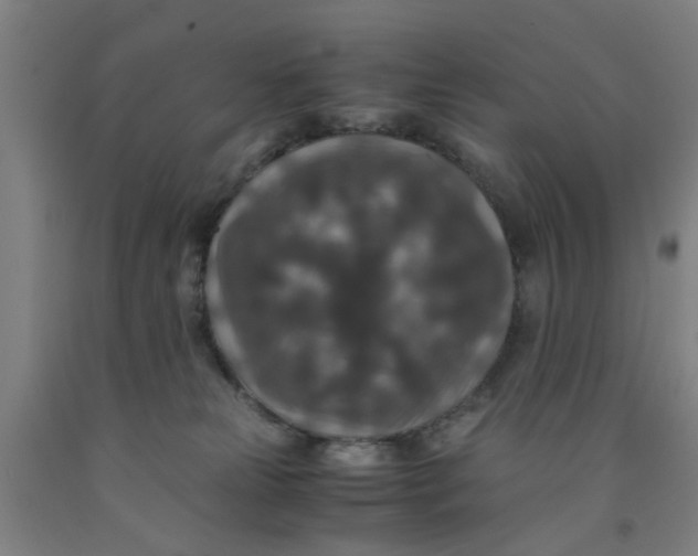 X0000091960181200709271354