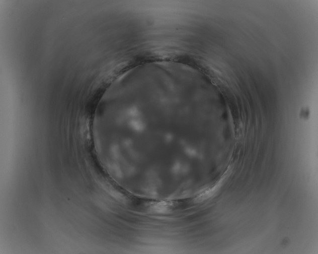 X0000091960182200709271354