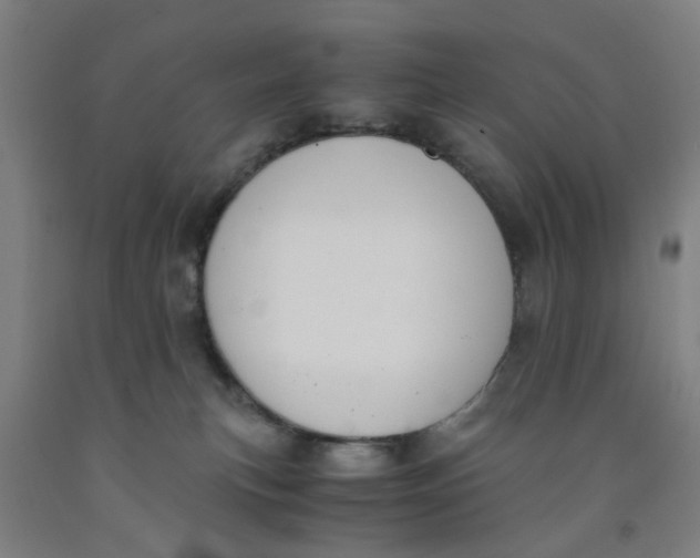 X0000091960183200709271354