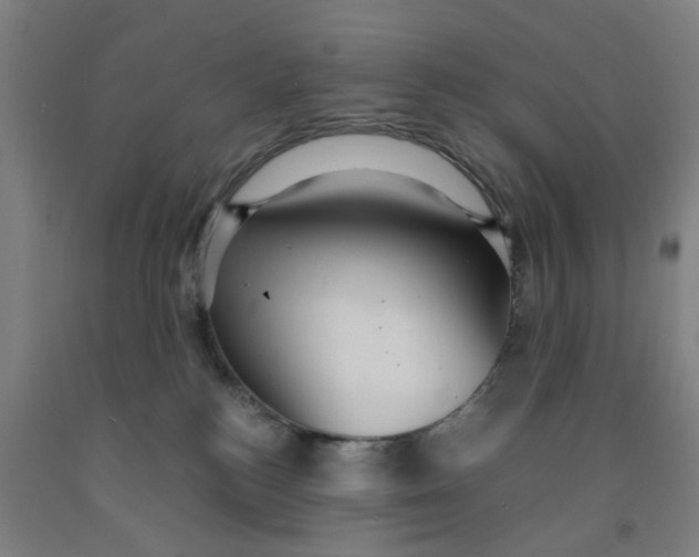 X0000091960184200709271354