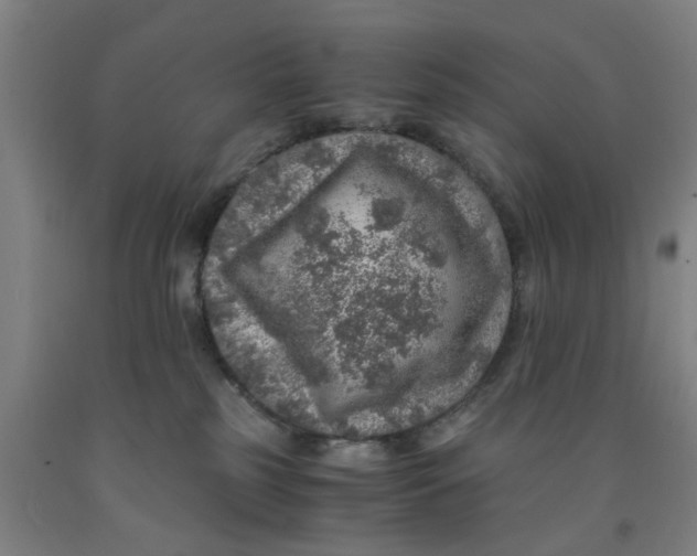 X0000091960185200709271354