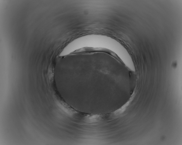 X0000091960186200709271354