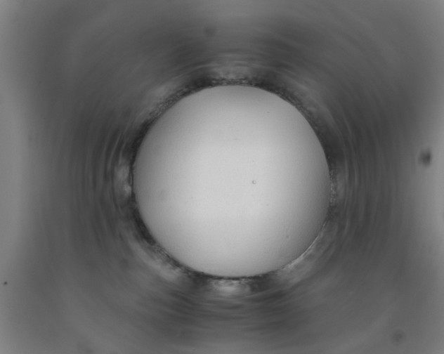 X0000091960187200709271354