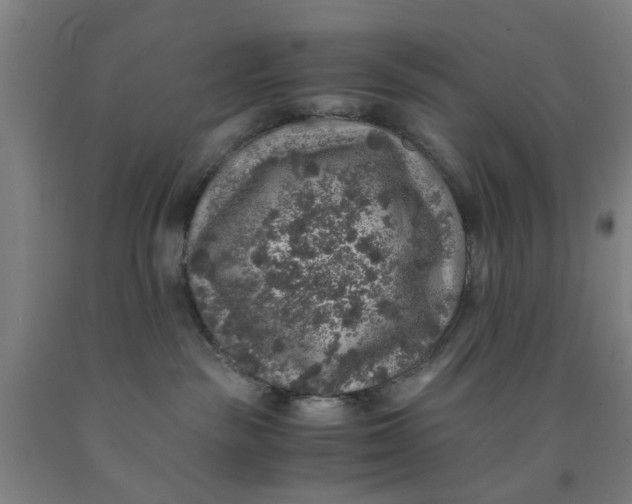 X0000091960189200709271354