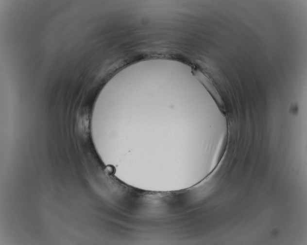 X0000091960190200709271354