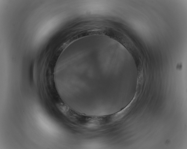 X0000091960191200709271354