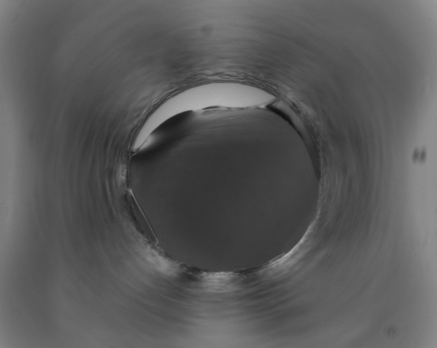 X0000091960192200709271354