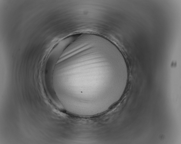 X0000091960193200709271354