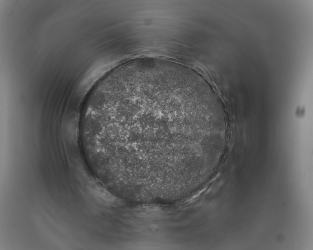 X0000091960194200709271354